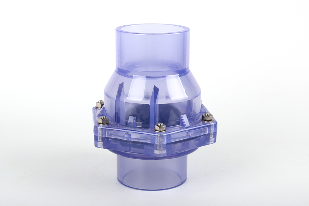 洛龙透明翻板式止回阀